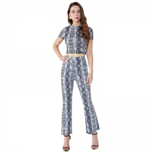 Bodycon shorts met luipaardprint Trendy tweedelige set dameskleding